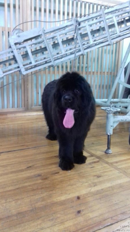 Фотография № 197863