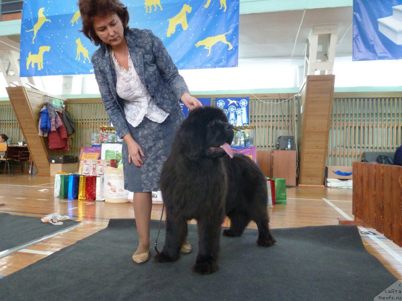 Фотография № 197866