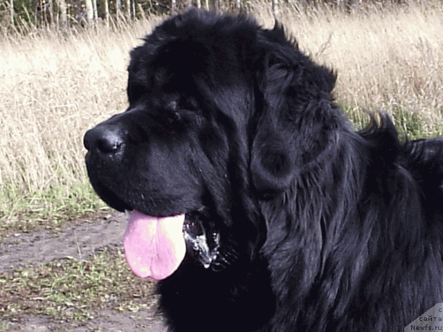 Фотография № 19787