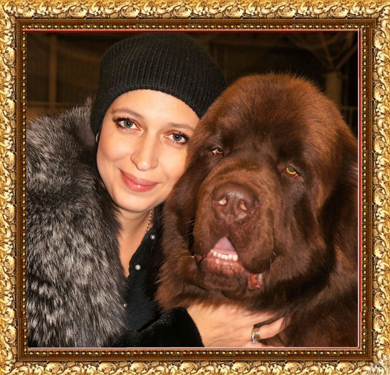 Фотография № 197873