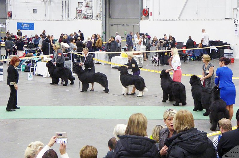 Фотография № 197877