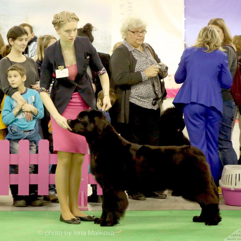 Фотография № 197879