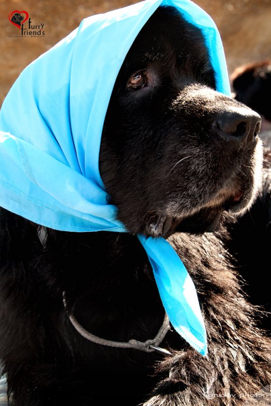 Фотография № 197883