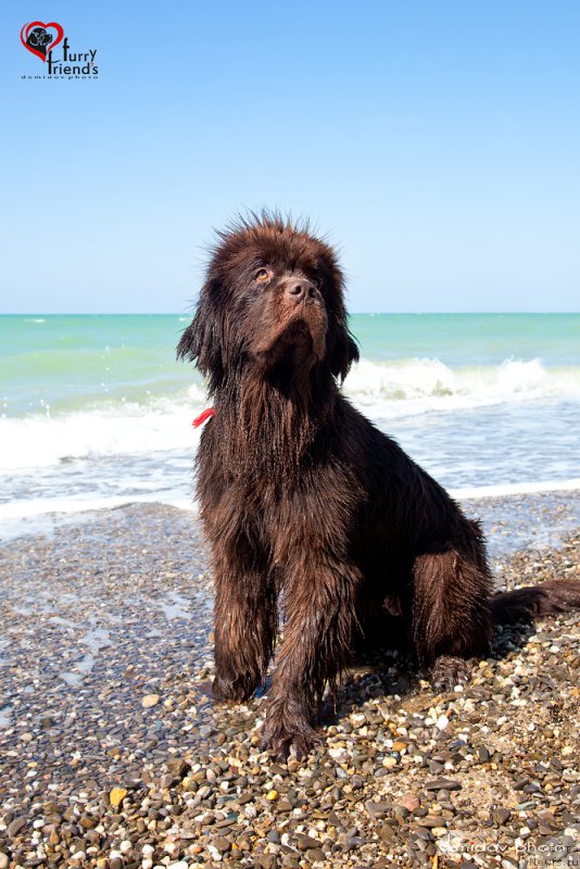 Фотография № 197885