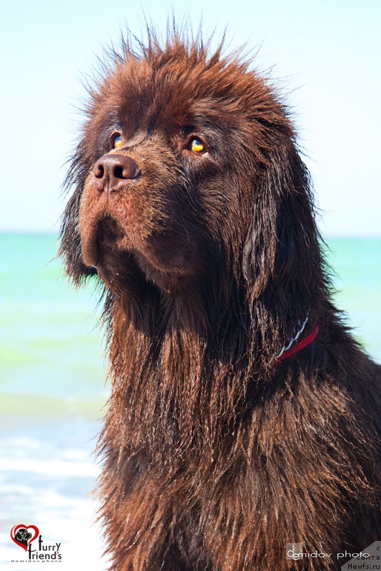 Фотография № 197886