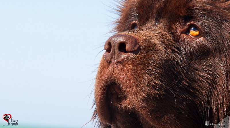 Фотография № 197888