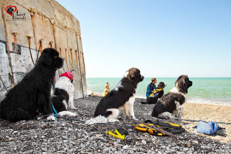 Фотография № 197889