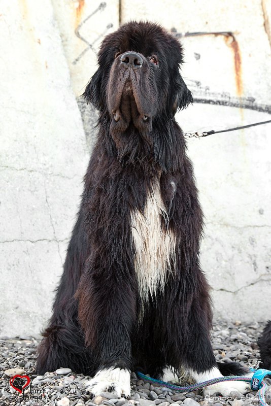 Фотография № 197892