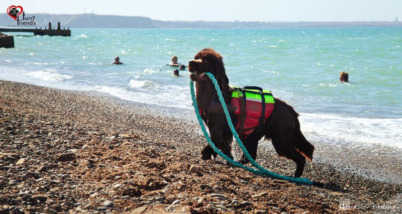 Фотография № 197893