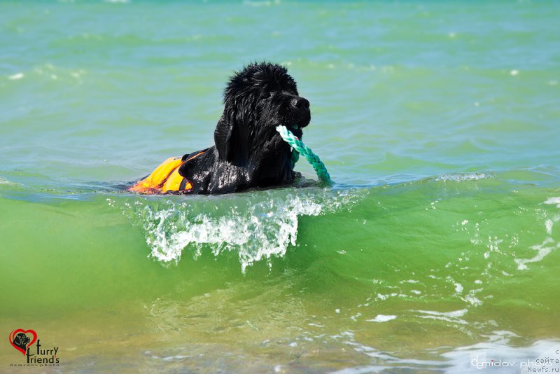 Фотография № 197894