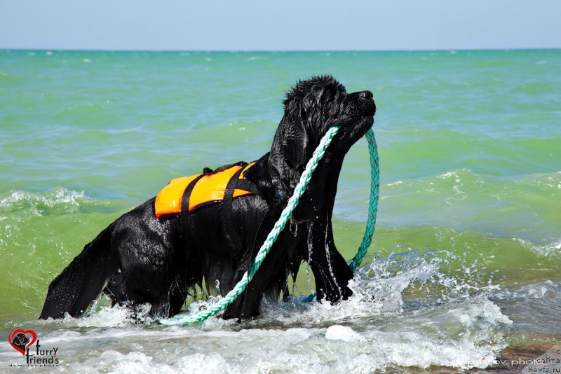 Фотография № 197895