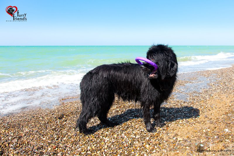 Фотография № 197896