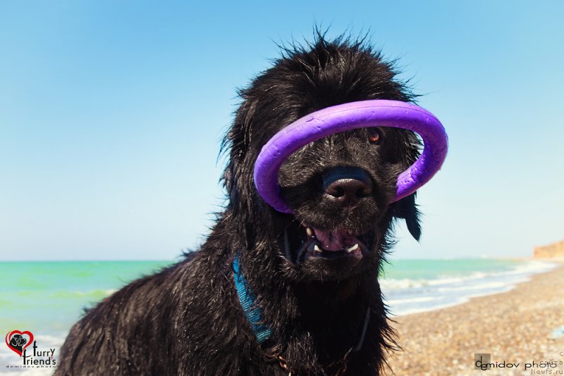 Фотография № 197897