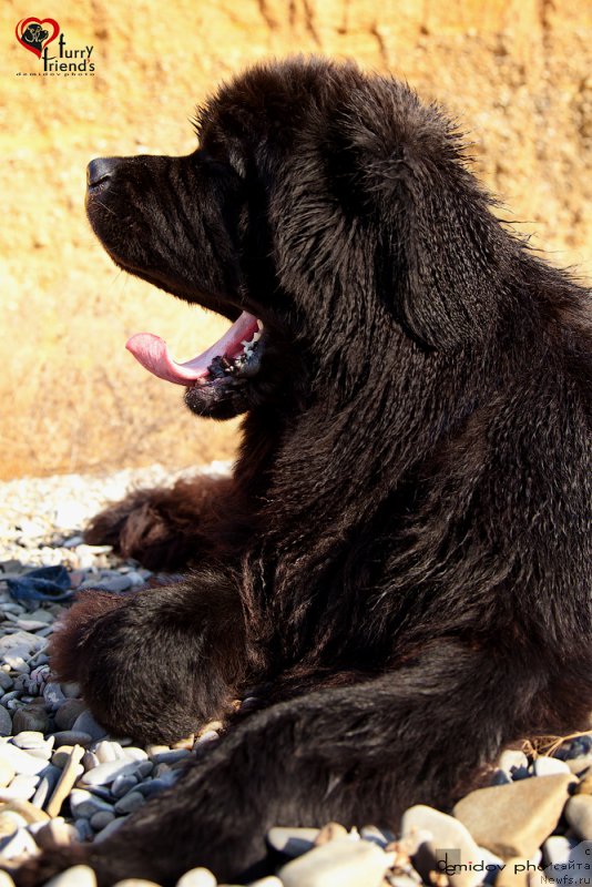 Фотография № 197898