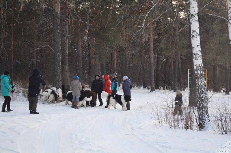 Фотография № 197909