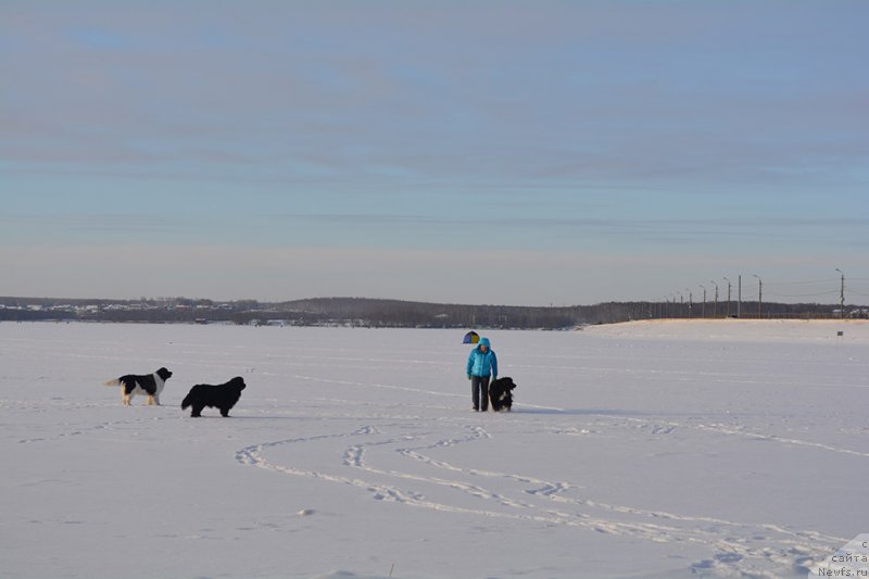 Фотография № 197910