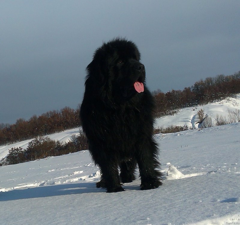 Фотография № 197924