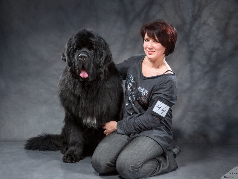 Фотография № 197928