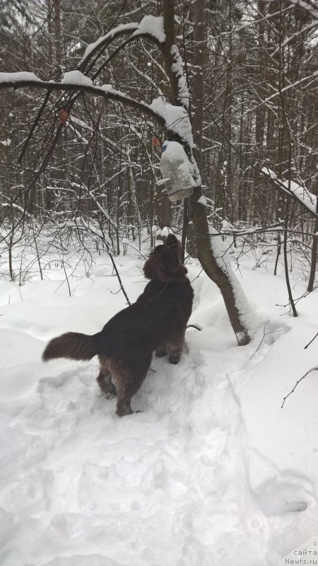 Фотография № 197929