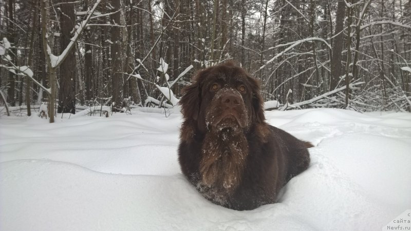 Фотография № 197930