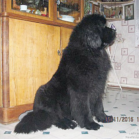 Фотография № 197933