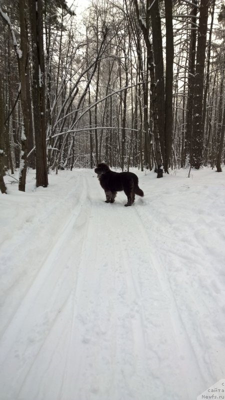 Фотография № 197938