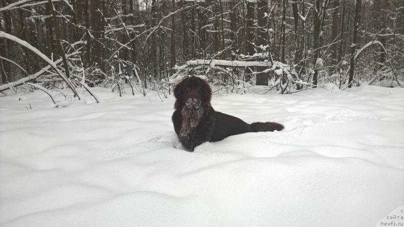 Фотография № 197939