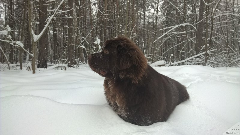 Фотография № 197944