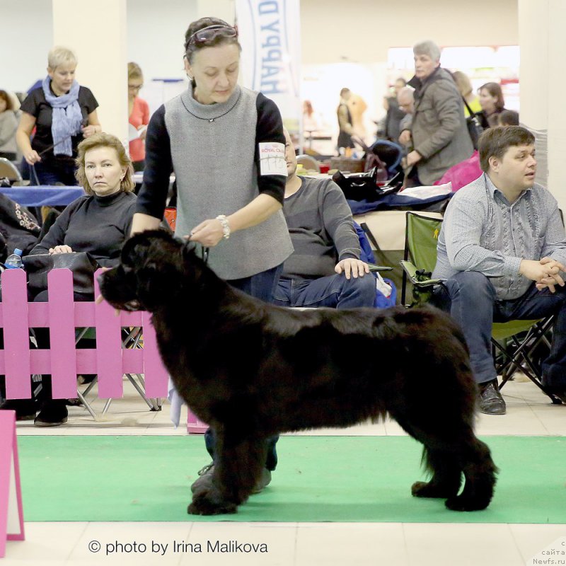 Фотография № 197958