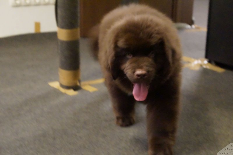 Фотография № 197960