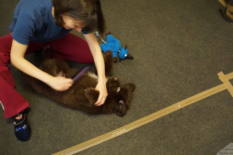 Фотография № 197961