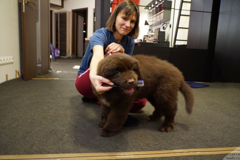 Фотография № 197963