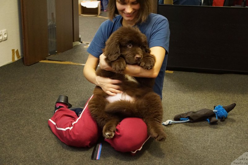 Фотография № 197965