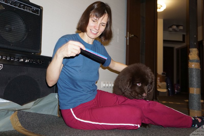 Фотография № 197968