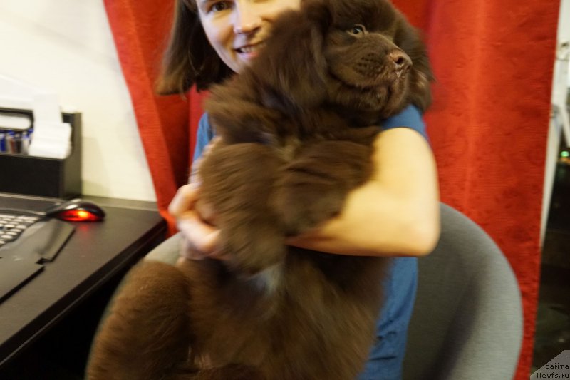 Фотография № 197972