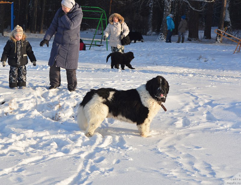 Фотография № 197982