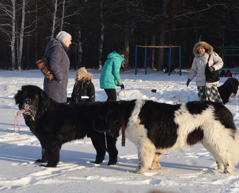 Фотография № 197983