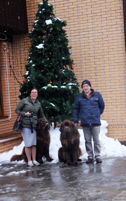 Фотография № 197998