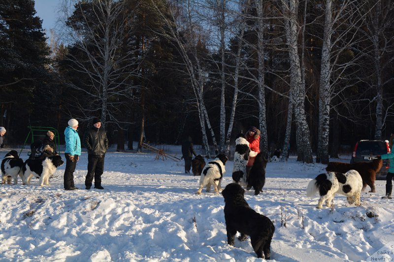 Фотография № 198000