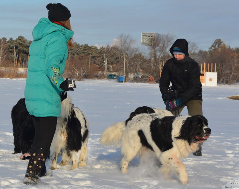 Фотография № 198001
