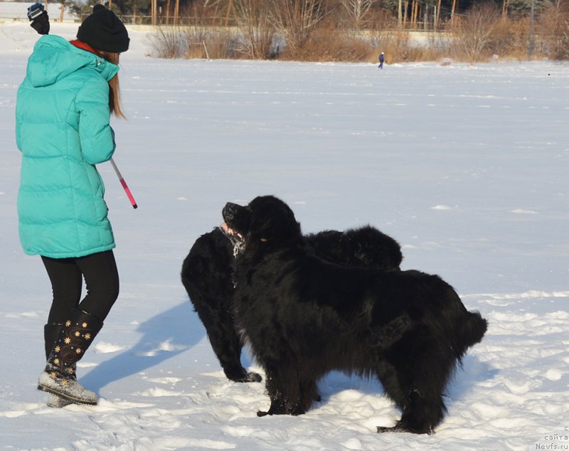 Фотография № 198002