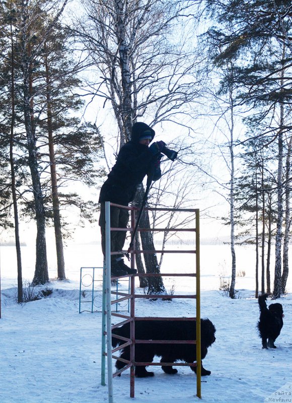 Фотография № 198004