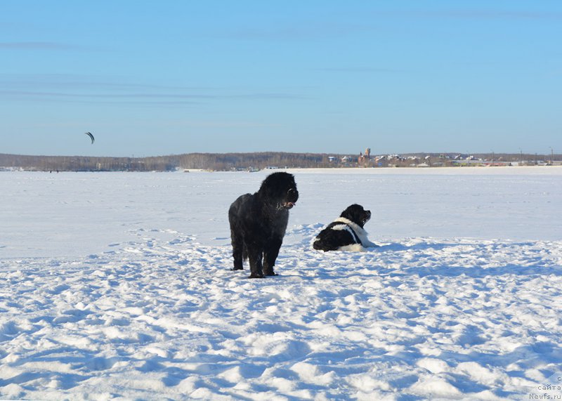 Фотография № 198005