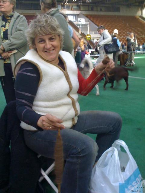 Фотография № 19801