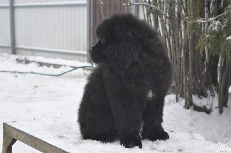 Фотография № 198023