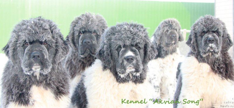 Фотография № 198025