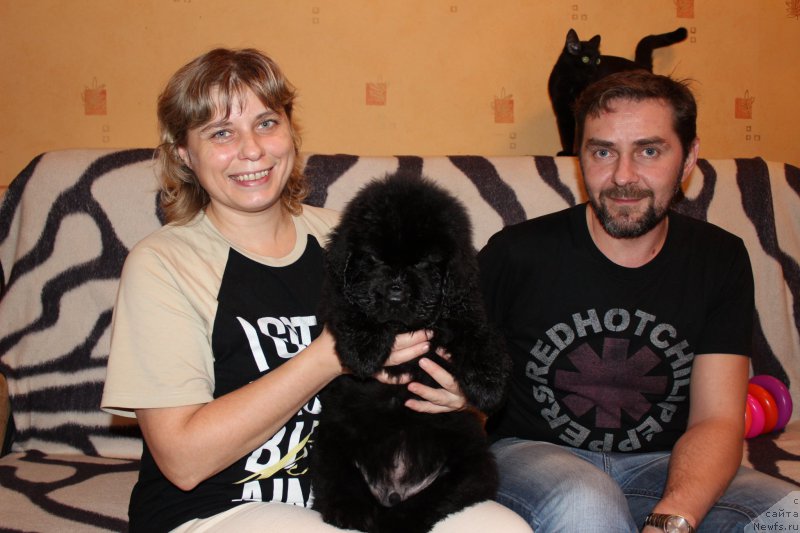 Фото: дети, ньюфаундленд Смигар Легенда Весны (Smigar Legenda Vesny), ньюфаундленд Смигар Бриллиант ов Май Соул (Smigar Brilliant of My Soul)