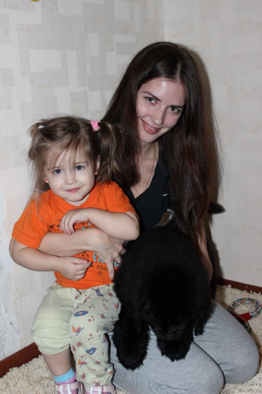 Фото: дети, ньюфаундленд Смигар Легенда Весны (Smigar Legenda Vesny), ньюфаундленд Смигар Бриллиант ов Май Соул (Smigar Brilliant of My Soul)