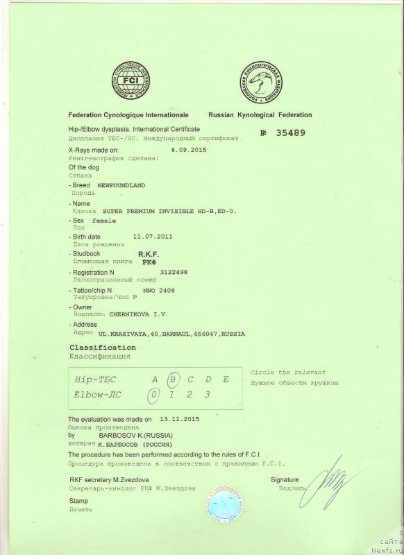 Фото: ньюфаундленд Супер Премиум Инвисибл (Super Premium Invisible)