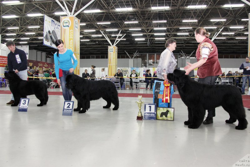 Фотография № 198032